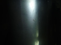 P1260785