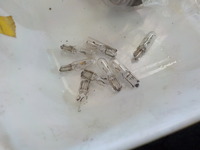 DSCN3733