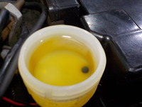 DSCN0294