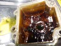DSCN7589