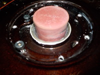 DSCN5229