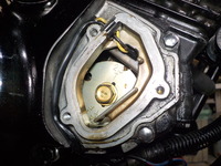DSCN8842