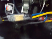 DSCN3195