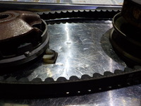 DSCN0980