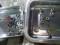 DSCN6821