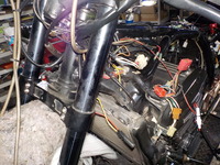 DSCN4639
