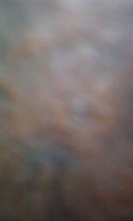 Photo_4