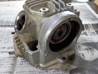 DSCN6410