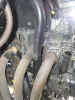 DSCN7293