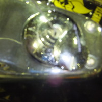 DSCF4344