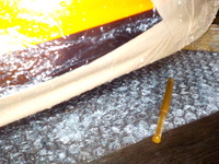 DSCN4613