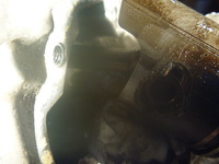P1050892