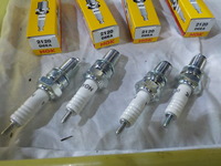 DSCN5267