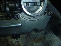 P1050241