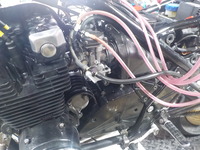 DSCN8520