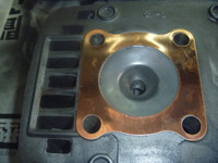 P1050981