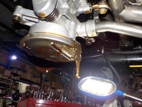 DSCN5722