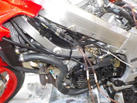 DSCN5348