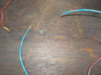 DSCN5295