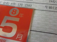 DSCN6988