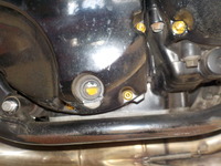 DSCN6719