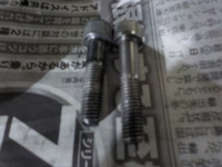 DSCN7881