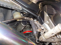DSCN6377