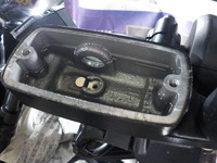 DSCN8913