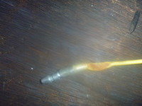 P1210295