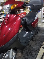 DSCN6176