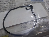 DSCN6061