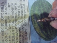 P1020204