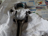 DSCN3903