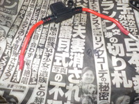 DSCN6785