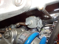 DSCN0781