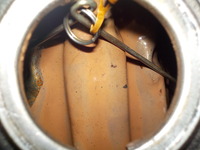 DSCN9263