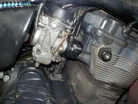 DSCN6717
