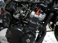 DSCN3552