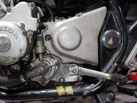 DSCN6106