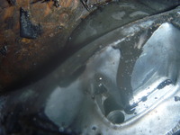 P1100599