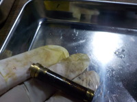 DSCN6860