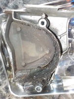 DSCN6363