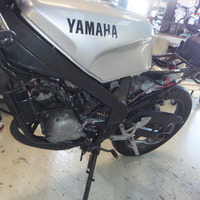 DSCF9877