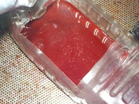 DSCN1153