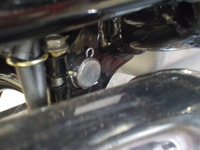 DSCN5847