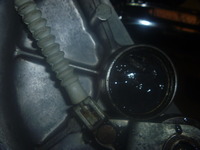 P1200123