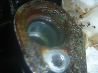 P1200378