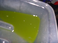 P1070510
