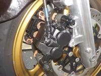 DSCN6873
