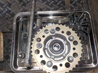 DSCN6379